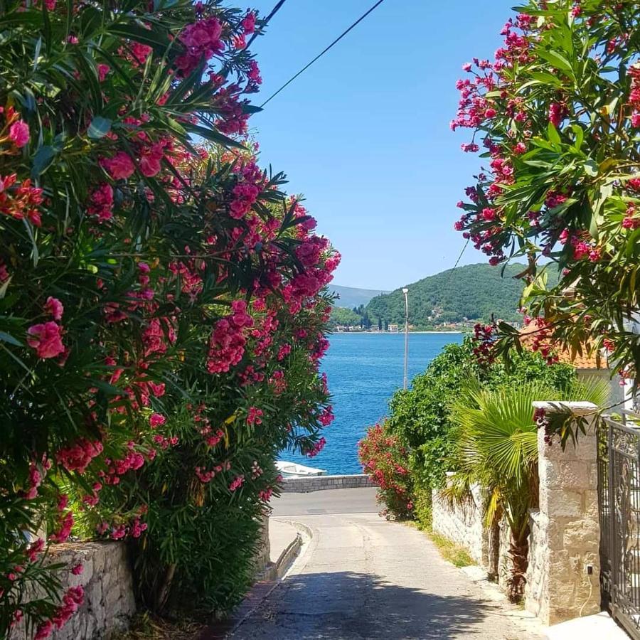 Apartments Todorovic Tivat Exteriér fotografie